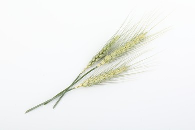 Photo of Many green wheat spikes on white background, top view