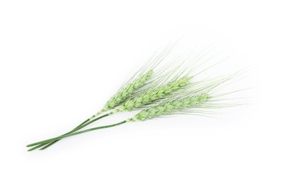 Photo of Many green wheat spikes isolated on white, top view