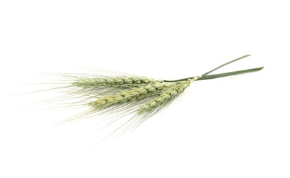 Photo of Many green wheat spikes on white background