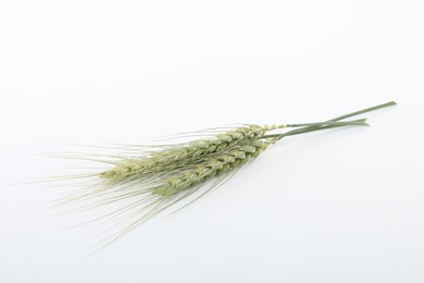 Photo of Two green wheat spikes on white background