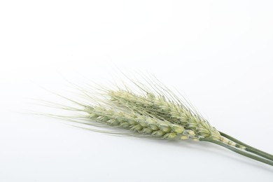 Photo of Two green wheat spikes on white background