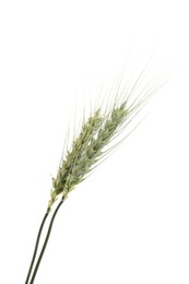 Photo of Two green wheat spikes isolated on white