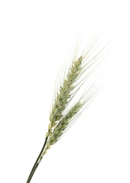 Photo of Two green wheat spikes isolated on white