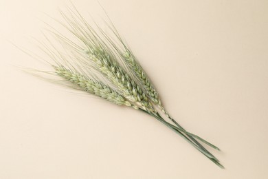 Photo of Many green wheat spikes on beige background, top view