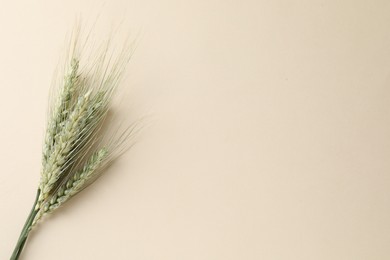 Photo of Many green wheat spikes on beige background, top view. Space for text