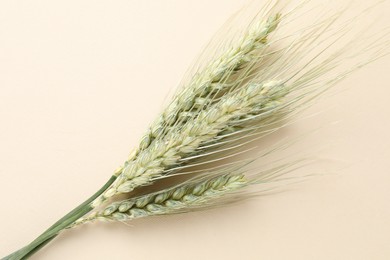 Photo of Many green wheat spikes on beige background, top view