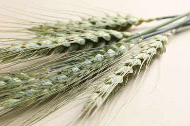 Photo of Many green wheat spikes on beige background, closeup