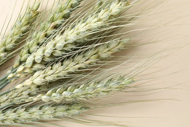 Photo of Many green wheat spikes on beige background, closeup