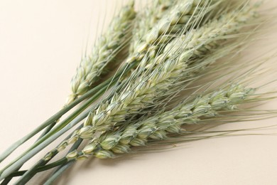 Photo of Many green wheat spikes on beige background, closeup