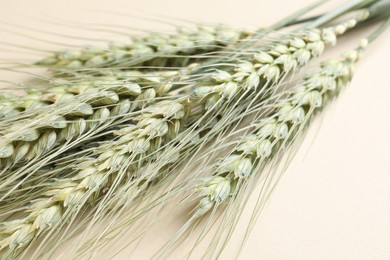 Photo of Many green wheat spikes on beige background, closeup