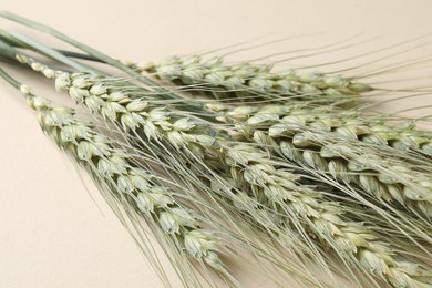Photo of Many green wheat spikes on beige background, closeup