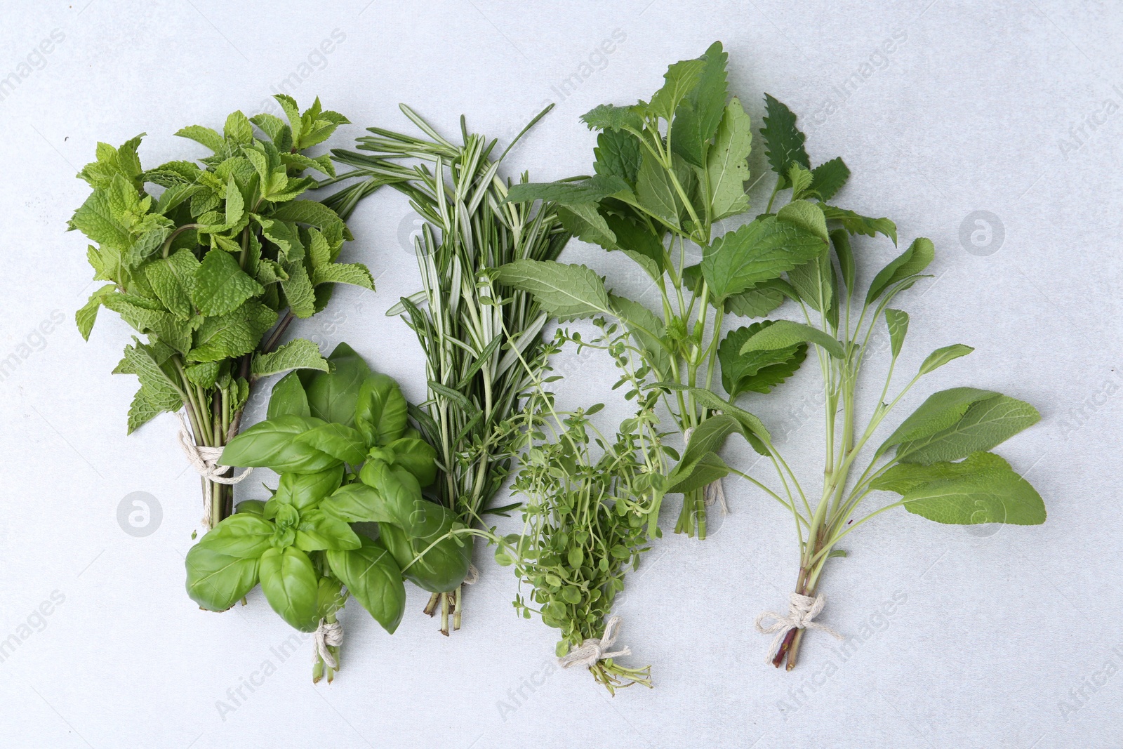 Photo of Different fresh green herbs on light table, flat lay