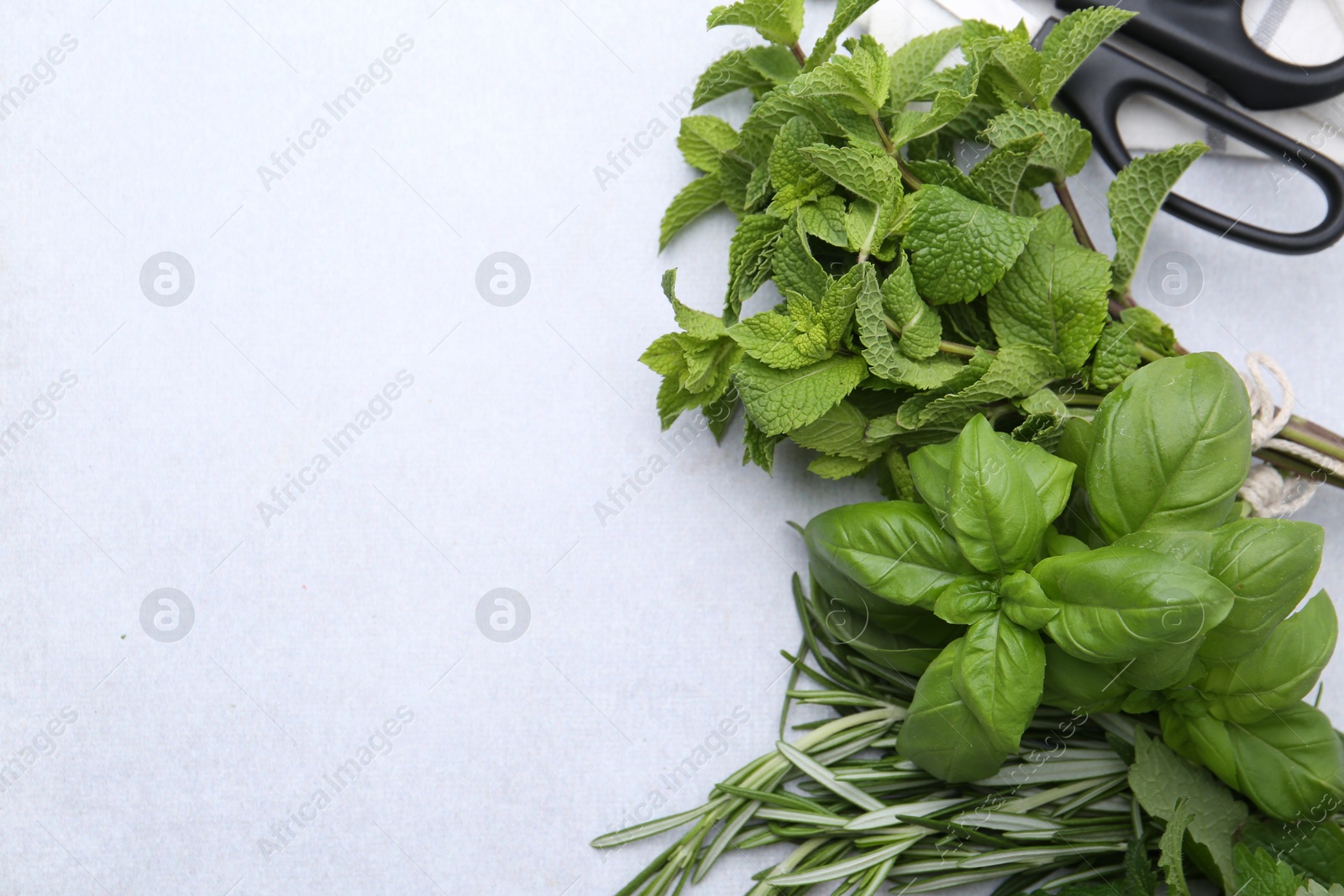 Different fresh green herbs and scissors on light table, flat lay. Space for text Photo of Different fresh green herbs and scissors on light table, flat lay. Space for text