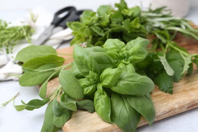Photo of Different fresh green herbs and scissors on light table, closeup