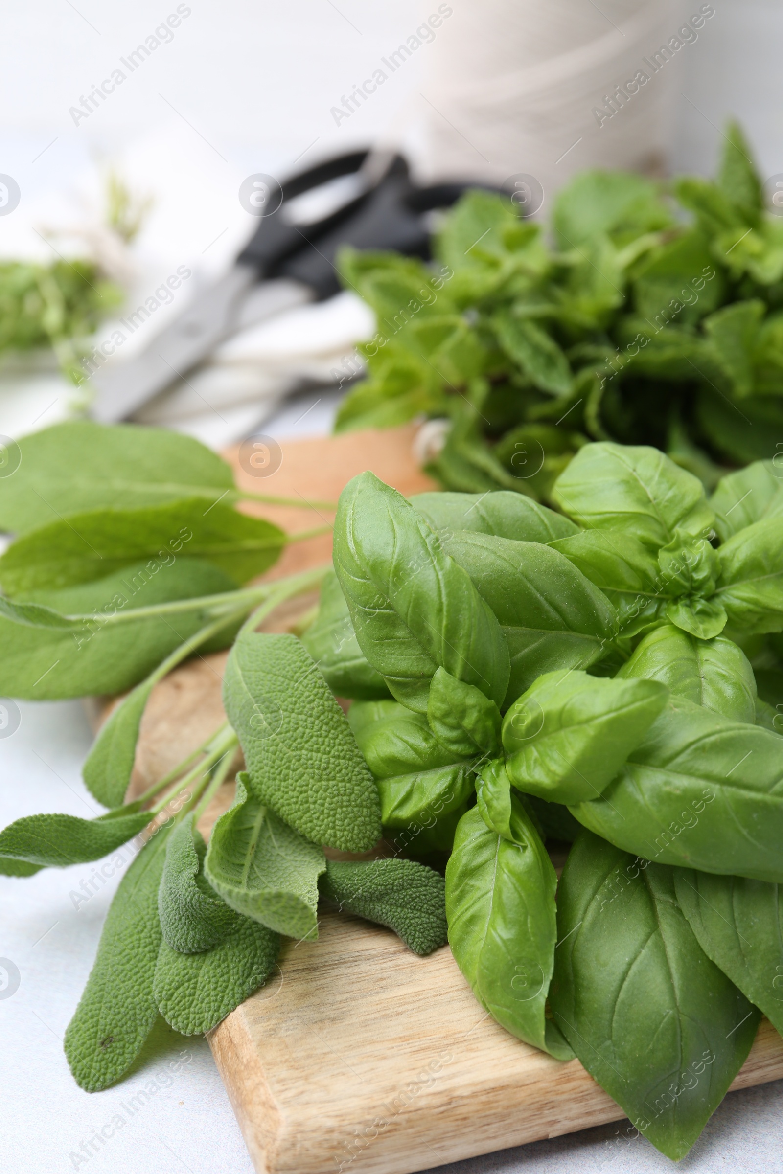 Different fresh green herbs and scissors on light table, closeup Photo of Different fresh green herbs and scissors on light table, closeup