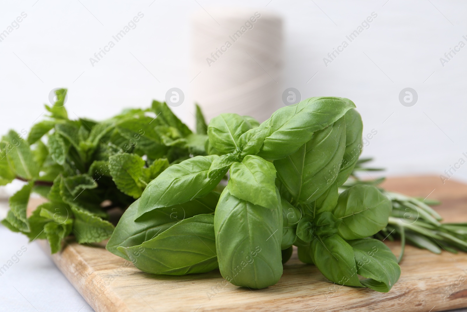 Different fresh green herbs on light table, closeup Photo of Different fresh green herbs on light table, closeup