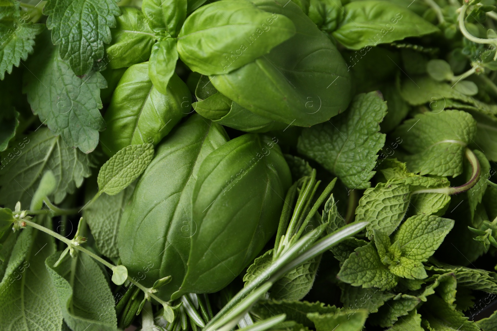 Photo of Different fresh green herbs as background, top view