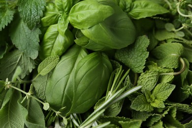 Photo of Different fresh green herbs as background, top view