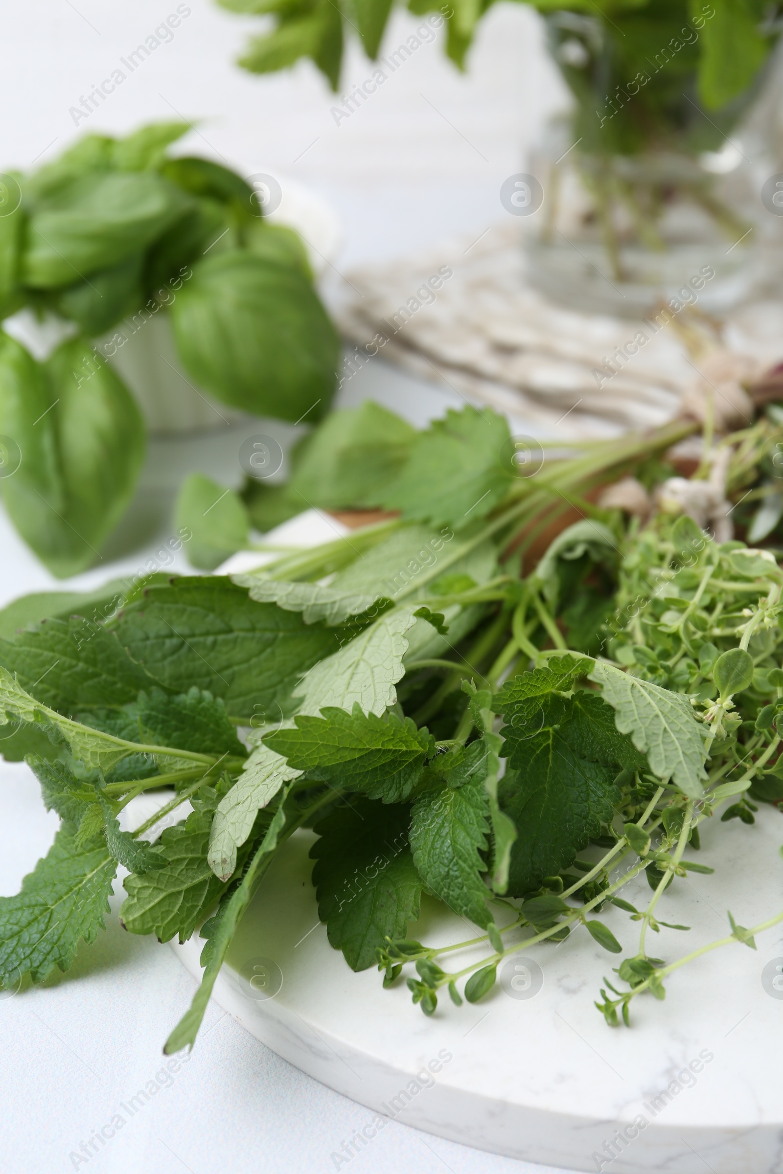 Different fresh green herbs on white table, closeup Photo of Different fresh green herbs on white table, closeup