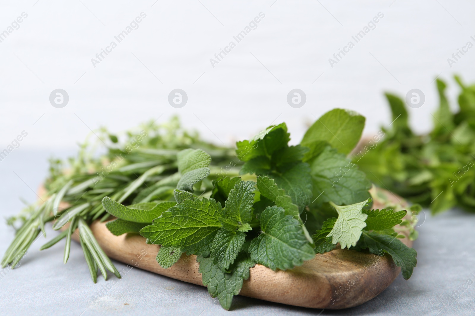 Photo of Different fresh green herbs on grey table, closeup