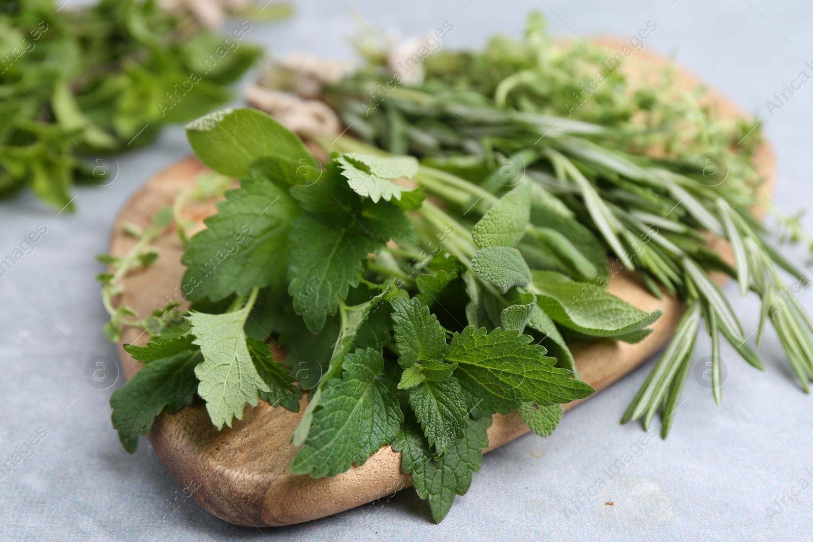 Photo of Different fresh green herbs on grey table, closeup