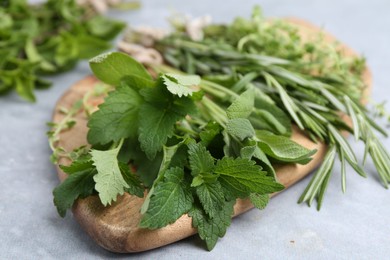Photo of Different fresh green herbs on grey table, closeup