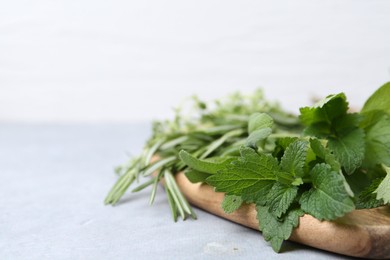 Photo of Different fresh green herbs on grey table, closeup. Space for text