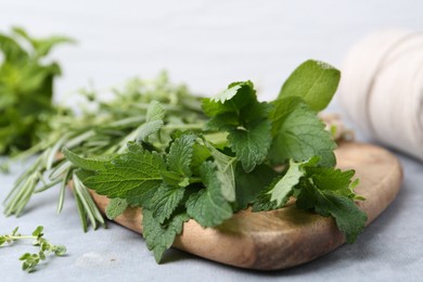 Photo of Different fresh green herbs on grey table, closeup