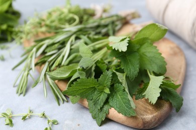 Photo of Different fresh green herbs on grey table, closeup