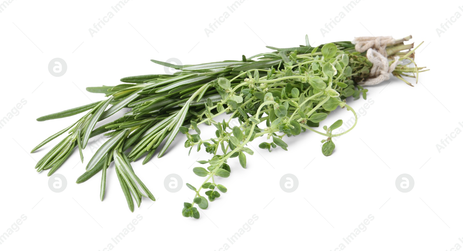 Photo of Different fresh green herbs isolated on white