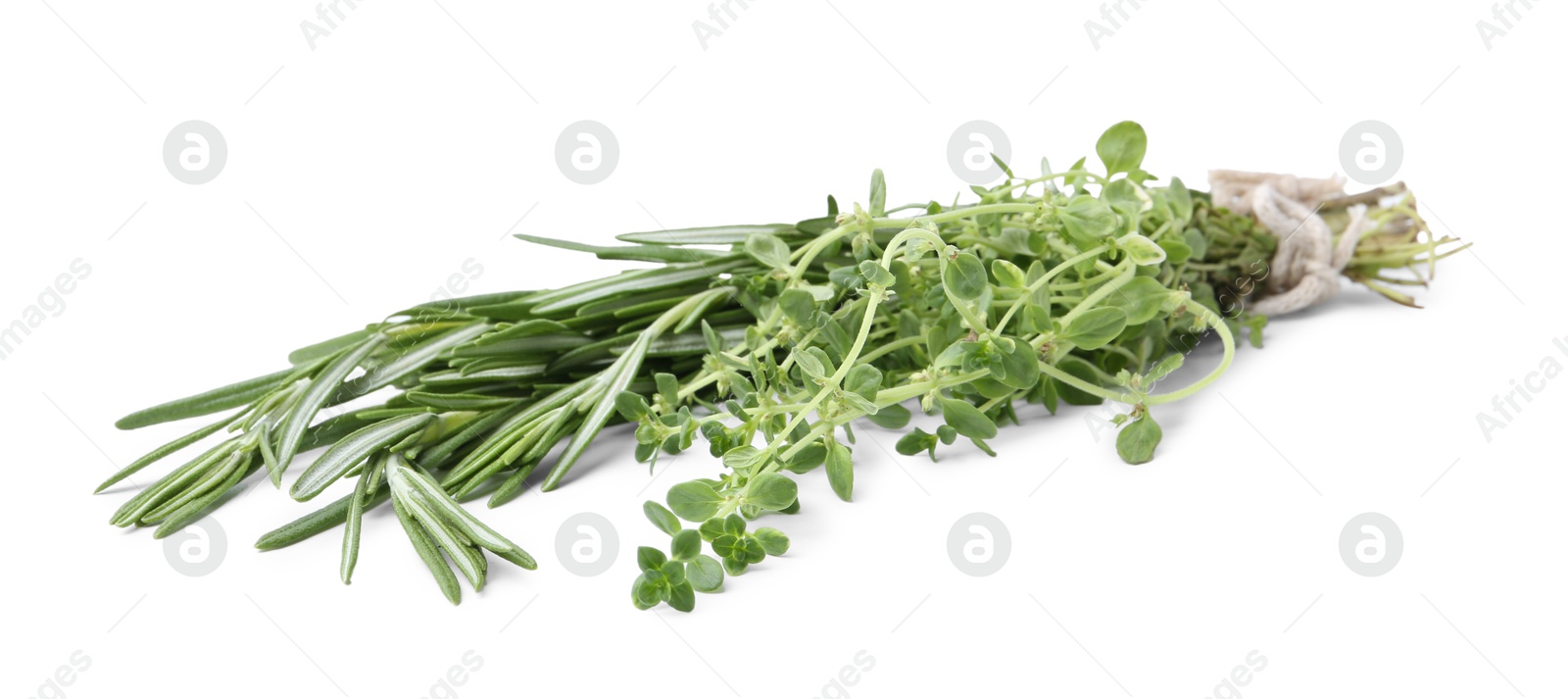 Photo of Different fresh green herbs isolated on white