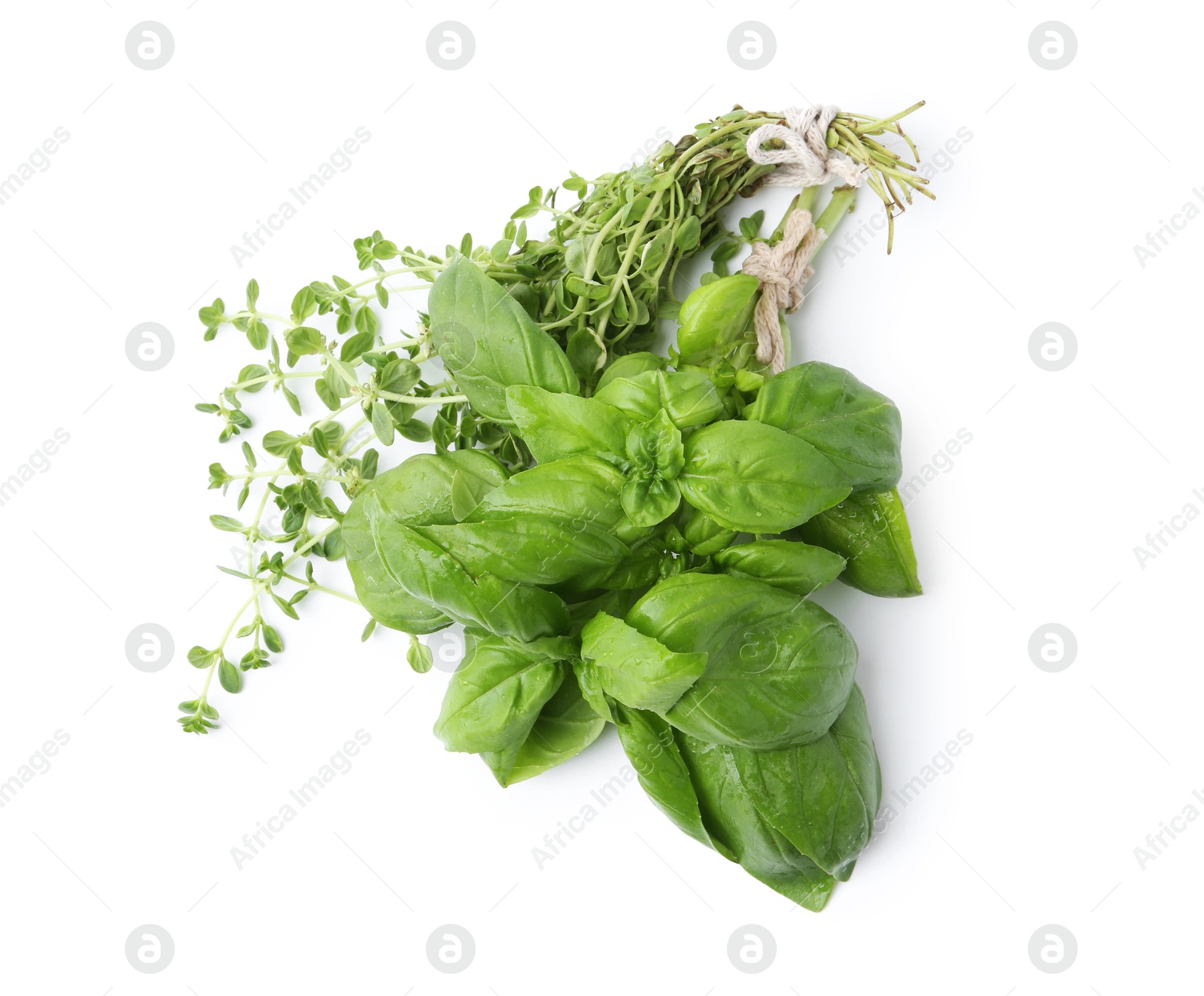 Photo of Different fresh green herbs isolated on white, above view