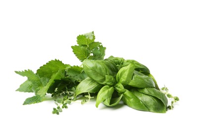 Photo of Different fresh green herbs isolated on white
