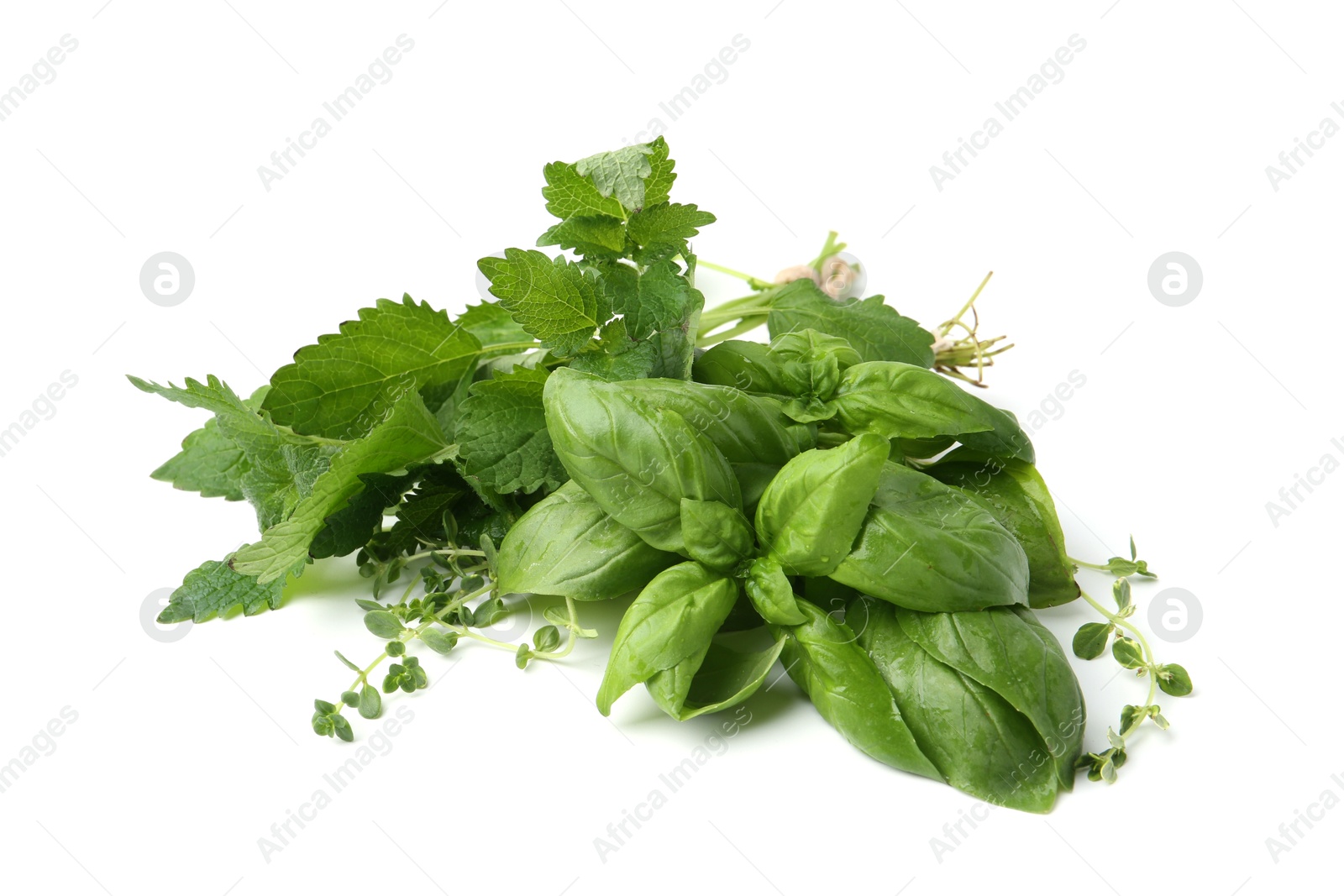 Different fresh green herbs isolated on white Photo of Different fresh green herbs isolated on white
