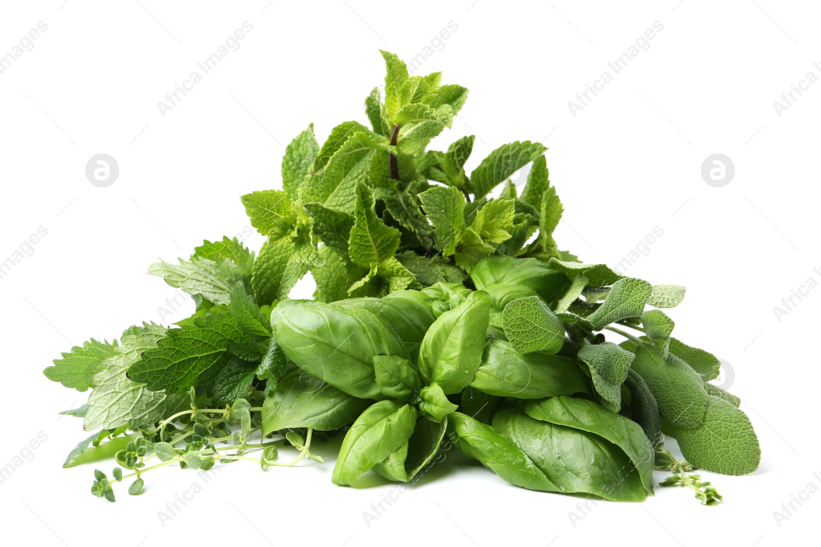 Photo of Different fresh green herbs isolated on white