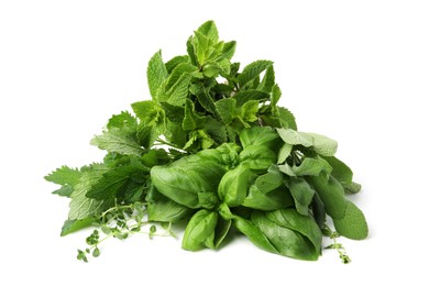 Photo of Different fresh green herbs isolated on white