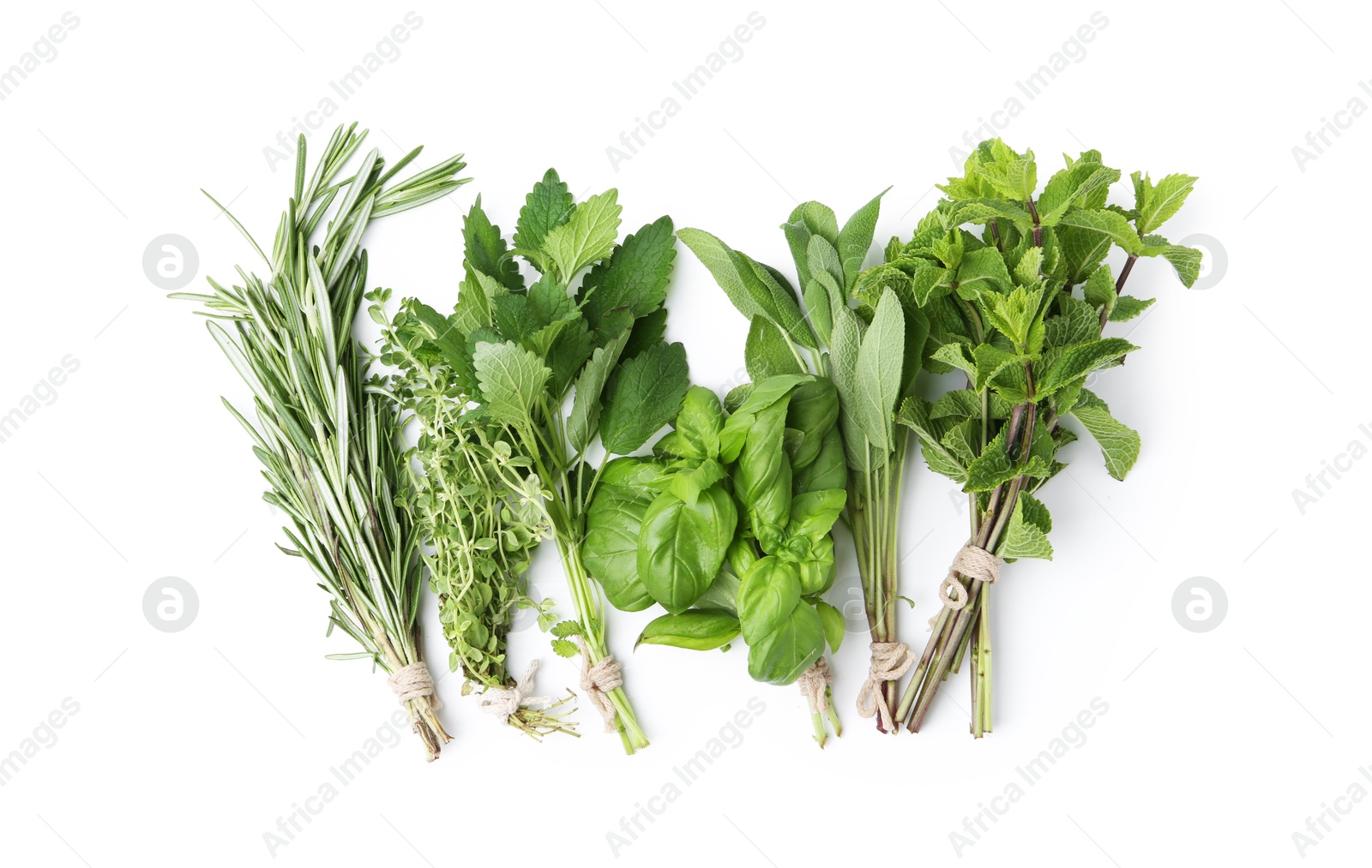 Photo of Different fresh green herbs isolated on white, top view