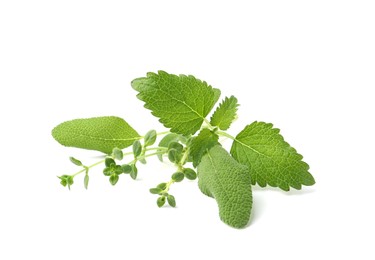 Photo of Different fresh green herbs isolated on white