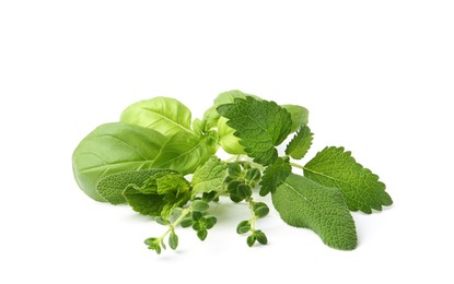 Photo of Different fresh green herbs isolated on white
