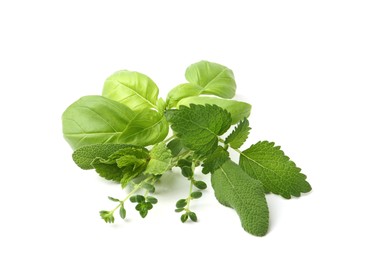 Photo of Different fresh green herbs isolated on white