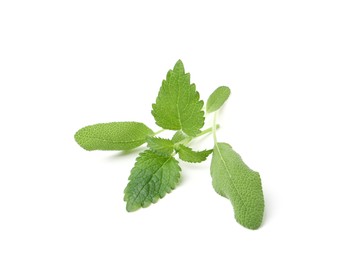 Photo of Different fresh green herbs isolated on white