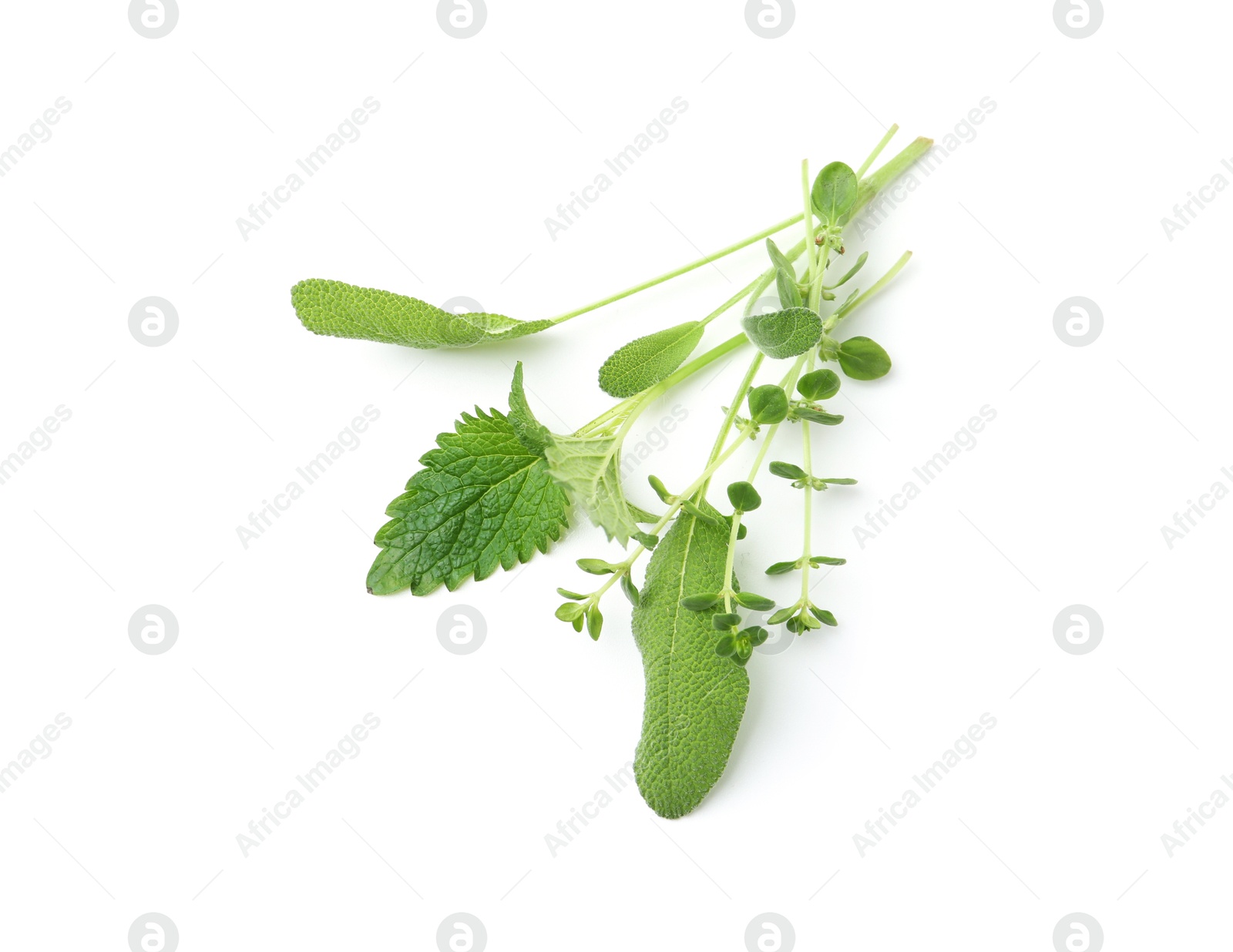 Different fresh green herbs isolated on white, top view Photo of Different fresh green herbs isolated on white, top view