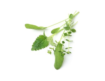 Photo of Different fresh green herbs isolated on white, top view