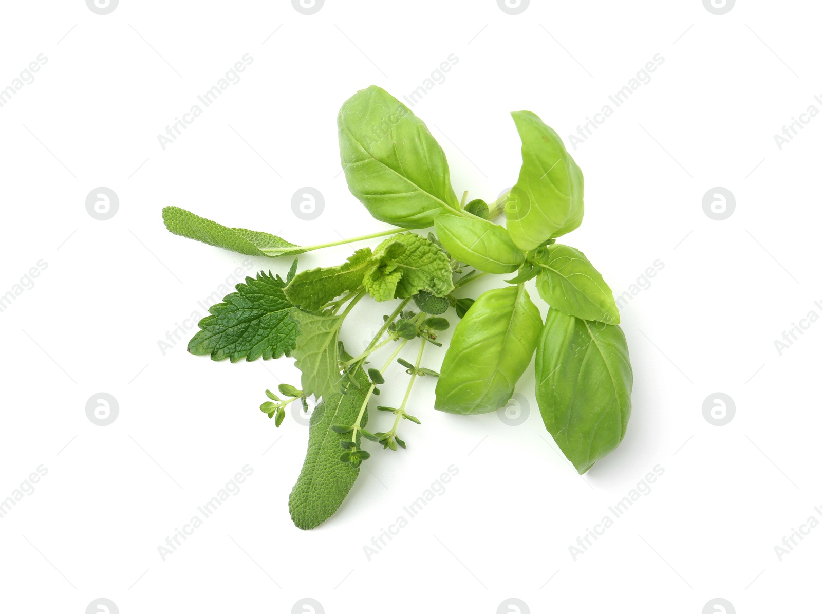 Different fresh green herbs isolated on white, above view Photo of Different fresh green herbs isolated on white, above view