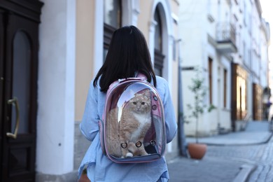 Photo of Woman with her cute cat in backpack carrier on city street, back view