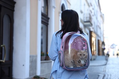 Photo of Woman with her cute cat in backpack carrier on city street, back view. Space for text