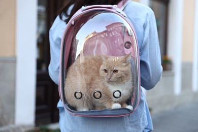 Photo of Woman with her cute cat in backpack carrier on city street, closeup