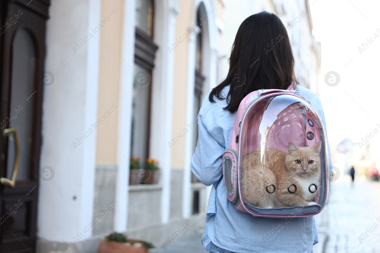 Woman with her cute cat in backpack carrier on city street, back view. Space for text Photo of Woman with her cute cat in backpack carrier on city street, back view. Space for text