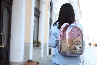 Photo of Woman with her cute cat in backpack carrier on city street, back view. Space for text
