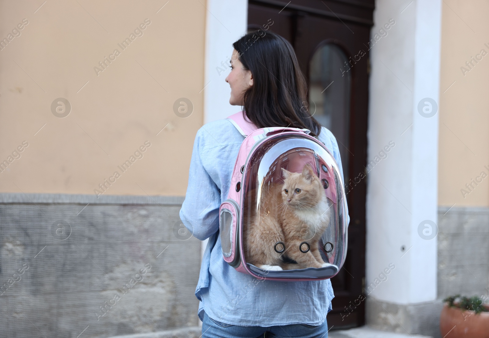 Woman with her cute cat in backpack carrier on city street, back view Photo of Woman with her cute cat in backpack carrier on city street, back view